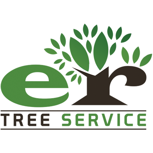 Experienced Arborists in Florida